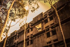 매쿼리 대학교 도서관 1993년, O-Week 동안 매쿼리 대학교 산악회 회원들이 촬영