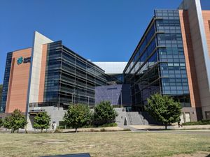 호주 청각 허브