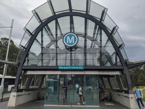 매쿼리 대학교역