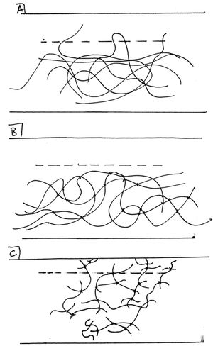 경계면은 점선으로 표시. A) 가교결합되지 않은 고분자는 경계면을 가로질러 어느 정도 자유롭게 확산될 수 있음. 한 개의 루프와 두 개의 원위 꼬리가 확산되는 것을 볼 수 있음. B) 가교결합된 고분자는 확산될 만큼 자유롭지 않음. C) "분해된" 고분자는 매우 자유롭고 많은 꼬리가 경계면을 가로질러 뻗어 있음.
