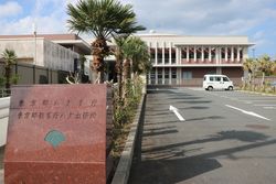 하치조 지청사.(2017년 11월 촬영)