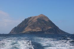 하치조코섬에서 하치조섬으로 돌아가는 배 위에서 바라본 하치조코섬.(2017년 11월 촬영)