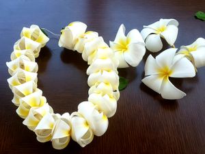 하와이에서 레이를 만드는 데 흔히 사용되는 플루메리아 꽃