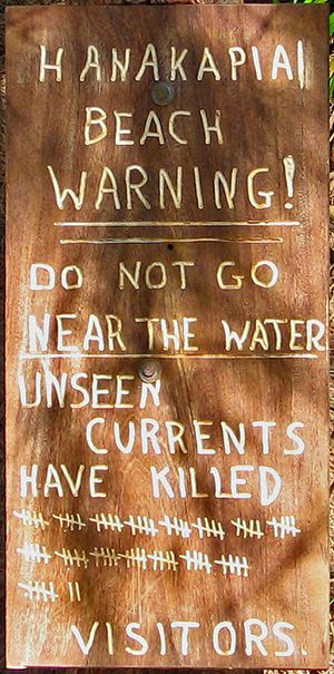 하나카피아이 해변에서 눈금표를 사용한 셈