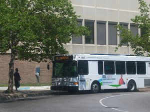 센타라 노퍽 종합 병원에서 햄프턴 로드 교통 버스