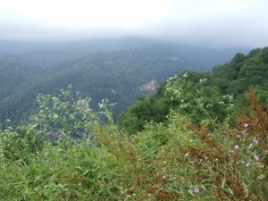 이제반 서쪽에 위치한 라스티베르 숲