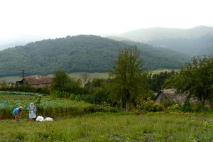 피올레토보의 몰로칸 농부들