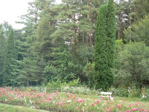 스테파나반 수목원