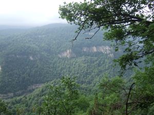 이제반 보호구역