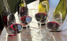 보졸레 누보 와인