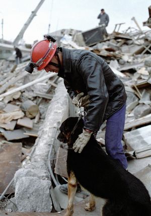 탐지견의 도움을 받아 매몰된 사람들을 수색하는 프랑스 수색 및 구조 대원