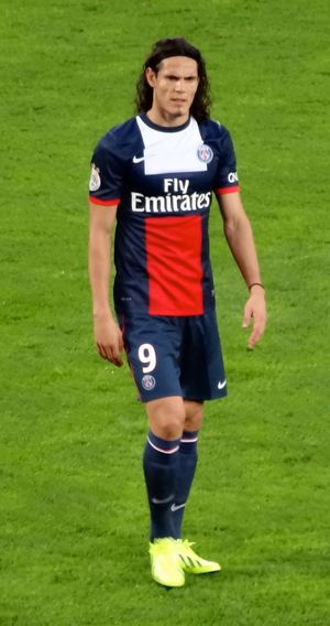 2013년 7월 에딘손 카바니 영입은 프랑스 역사상 최고 이적료였다.