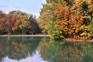 가시칠엽수 잎굴나방 (Cameraria ohridella)의 나무 피해, 이탈리아 파르마