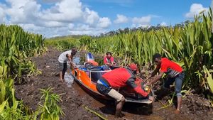 보트가 Mappi의 와일드만 강에서 "테부 라와" 식물로 인해 생긴 진흙을 헤쳐 나가고 있다.