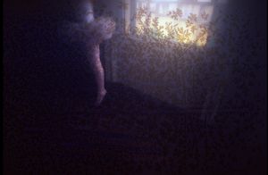 곰팡이에 의해 손상된 사진 슬라이드