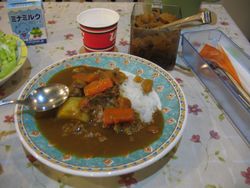 해군 카레 (요코스카 우드 아일랜드)