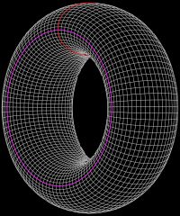 도넛 모양 표면에 두 개의 원이 그려져 있으며, 하나는 구멍을 지나고 다른 하나는 구멍을 통과한다.