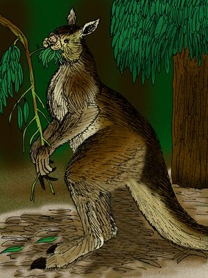 프로코프토돈 골리아