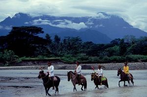 코타 벨루드(Kota Belud) 고향에서 서해안 바자우족 기수들이 키나발루 산을 배경으로 말을 타고 있다.