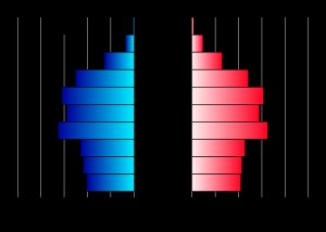 연령 성별 피라미드