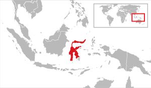 빨간색으로 표시된 술라웨시 섬