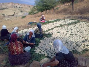 터키의 한 마을에서 카쉬크를 준비하는 쿠르드족 여성