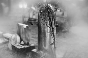 코네티컷주 이스턴의 유니온 묘지는 백색 여인의 전설의 고향이다.