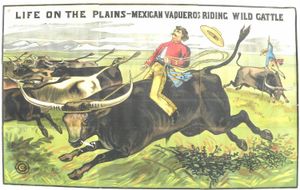 버팔로 빌의 와일드 웨스트 쇼에서 열린 전시 승마