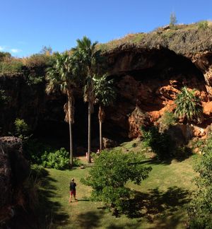 마카우와히 동굴에서는 쓰나미와 유사한 대규모 해일 사건의 증거가 발견되었다.