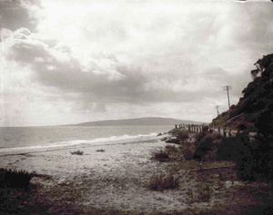 앤서니 노즈, 드로마나, 1920