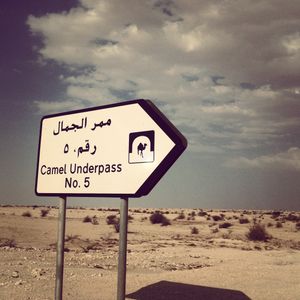 카타르의 고속도로 표지판으로, 낙타가 안전하게 건널 수 있는 지하 통로를 나타낸다.