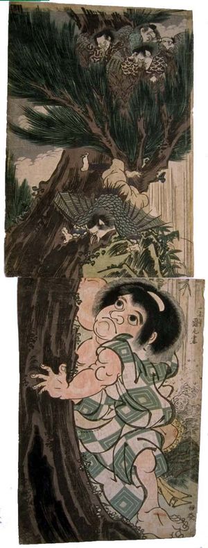 민간 영웅 킨타로가 작은 텐구의 둥지를 뒤집어 놓았다.