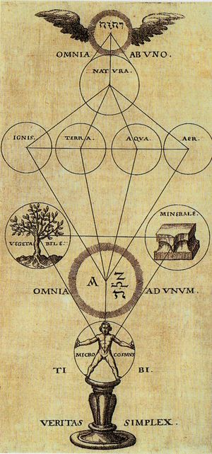 17세기 장미십자회의 만지(pansophia) 나무 개념 묘사, 1604
