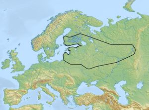 빗살무늬 토기 문화는 기원전 4200년경부터 기원전 2000년경까지 존재했다. 이 문화의 담당자들은 여전히 대부분 중석기 시대의 수렵 채집 생활 방식을 따랐다고 생각된다.