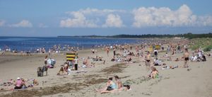 세베로드빈스크 근처 해변의 여름 날, 바다 남동쪽 해안