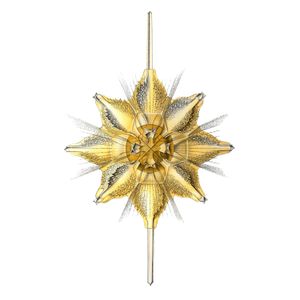 에른스트 헤켈이 그린 가시방산충류의 일종 Xiphacantha. 황산 스트론튬 골격이 특징이다.