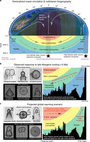 방산충 생물지리학과 온도 변화에 대한 관찰 및 예측 반응. 세 패널 모두의 색상 다각형은 일반적인 방산충 생물지리적 구역과 상대적인 수괴 온도를 나타낸다(차가운 색상은 더 낮은 온도를 의미). 지구 이미지는 NASA Blue Marble: Next Generation 이미지를 기반으로 하며, 해저 수심은 Google Earth 해저 고도 프로필에서 가져왔다(5°N–74°S, 120°W).