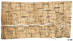 다양한 자작나무 껍질 문서들이 노브고로드에서 발견되었으며, 이는 다양한 사회 계층의 노브고로드인들이 높은 수준의 문해력을 가지고 있었음을 증명한다.