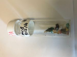 미세 플라스틱 샘플