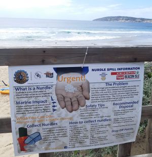 해안 환경에 미치는 부정적인 영향을 줄이기 위해 누들을 수집하도록 대중에게 권장하는 표지판