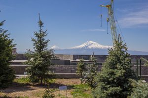 아르메니아 집단 학살 박물관 테라스에서 바라본 아라라트 산, 전경에 추모 나무가 있다