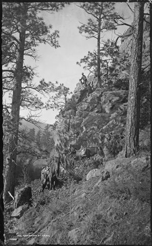 미국 지질 및 지리 조사소 자료 "업무 중인 지질학자들". (1874 - 06/30/1879) 사진: 윌리엄 헨리 잭슨.