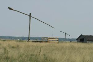 헝가리의 푸스타