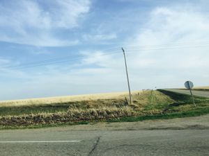 캐나다 서스캐처원 프레리의 밀밭 교차로