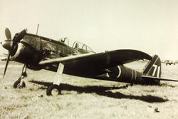「B-24 격추왕」, 「컨소리 격추왕」이라는 별명을 가지고 제25비행전대에서 활약한 제2중대장인 에이스, 오자키 나카카즈 대위가 탑승한 1식 전투기 2형(키43-II). 부대 마크로서 흰색으로 테두리 된 중대 색의 적색 띠와 기체 번호 끝자리를 수직 꼬리 날개에, 「중대장 표식」으로서 흰색 테두리의 적색 띠를 동체 후부에 그리고 있다.