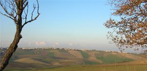 우루리(Ururi) (Ruri) in 몰리세