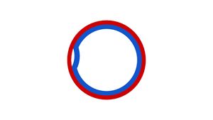 세타형 복제의 재현 동영상