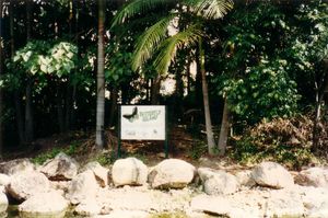 Butterfly Island enclosure of the former Butterfly House