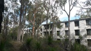 키나바, KGBC 칼리지, 그리피스 대학교 네이선 캠퍼스