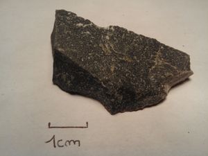 혼펠스 표본 (프랑스 노르망디)